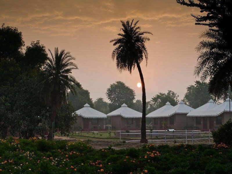 Lohana Village Resort Pushkar Esterno foto
